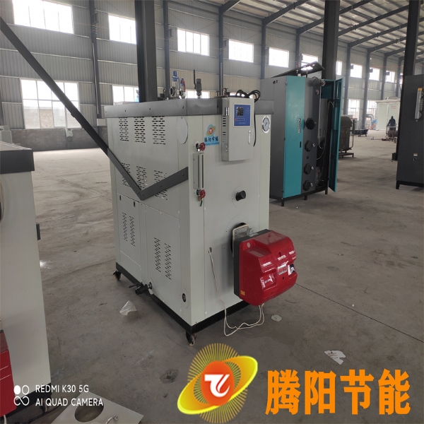 2吨生物质蒸汽发生器用于食品加工企业
